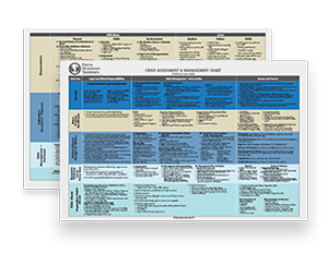 Crisis Management Chart